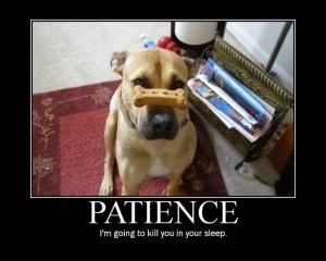 patience_small