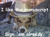 lazybeagle1
