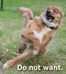do not want dog
