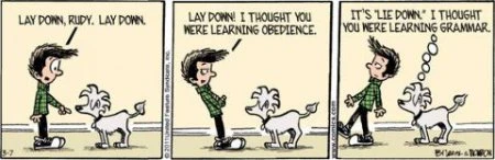 doggeh grammar