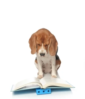 Beagle-reading