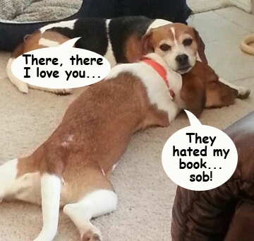 beagle review