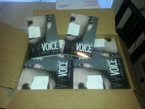 Voice
