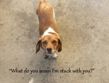 I'mstuckwithyou
